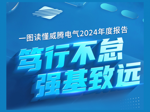 一图读懂Z6尊龙凯时电气2024年度汇报