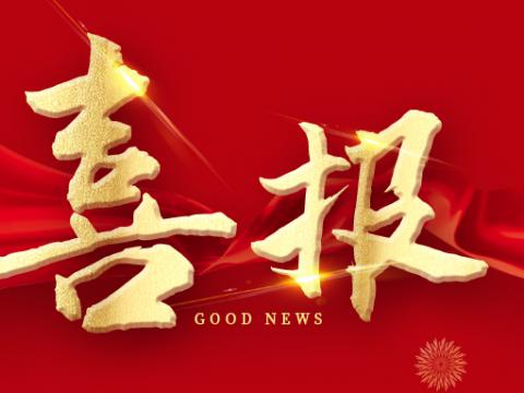 Z6尊龙凯时电气荣膺江苏省造作业领航企业